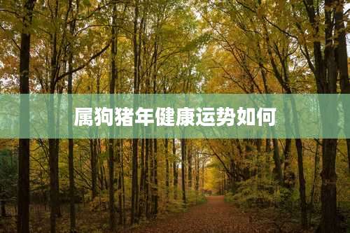 属狗猪年健康运势如何