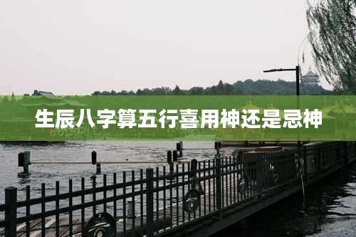 生辰八字算五行喜用神还是忌神