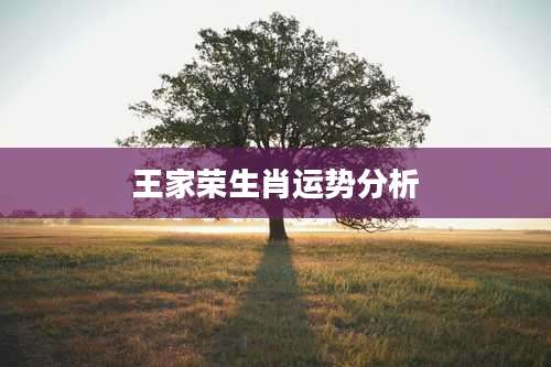 王家荣生肖运势分析