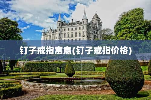 钉子戒指寓意(钉子戒指价格)