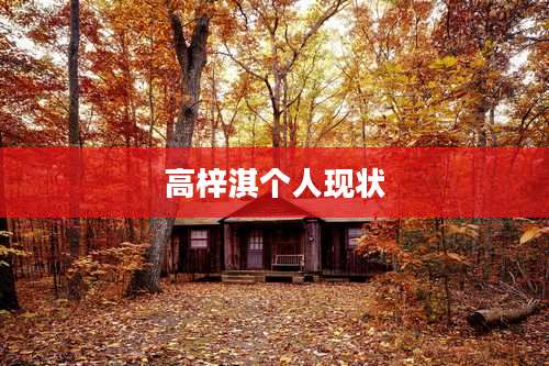 高梓淇个人现状