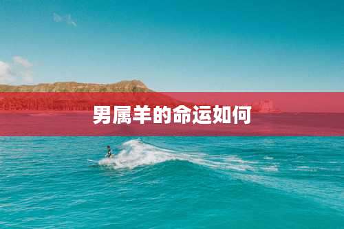 男属羊的命运如何