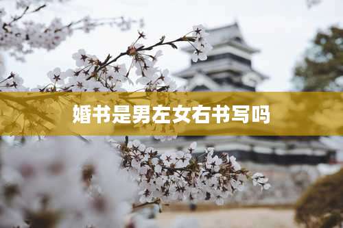 婚书是男左女右书写吗