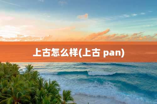 上古怎么样(上古 pan)