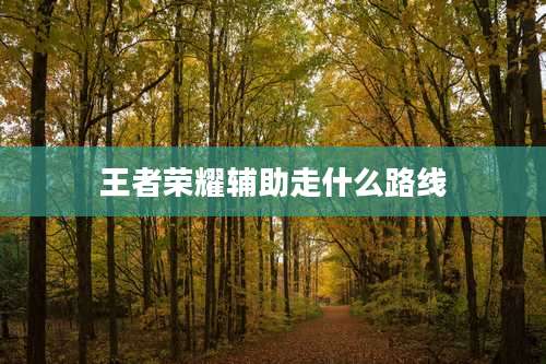 王者荣耀辅助走什么路线