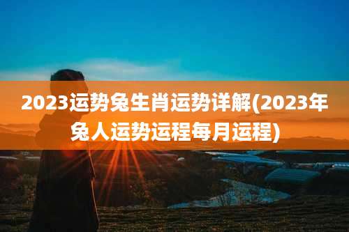 2023运势兔生肖运势详解(2023年兔人运势运程每月运程)