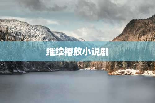 继续播放小说剧