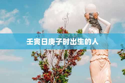 壬寅日庚子时出生的人