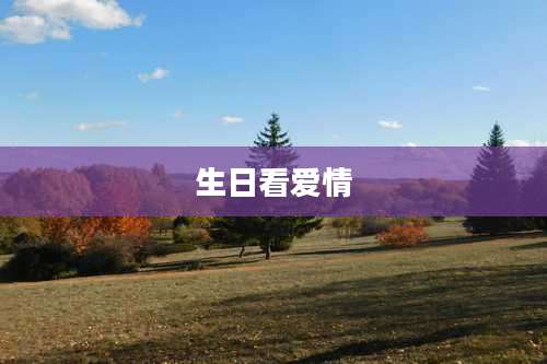 生日看爱情