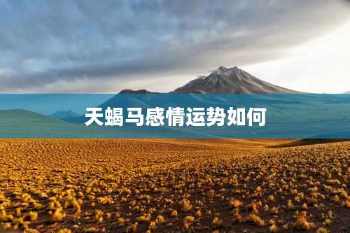 天蝎马感情运势如何