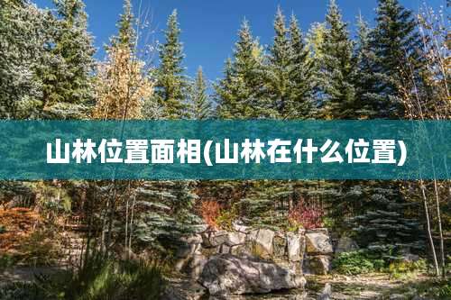 山林位置面相(山林在什么位置)