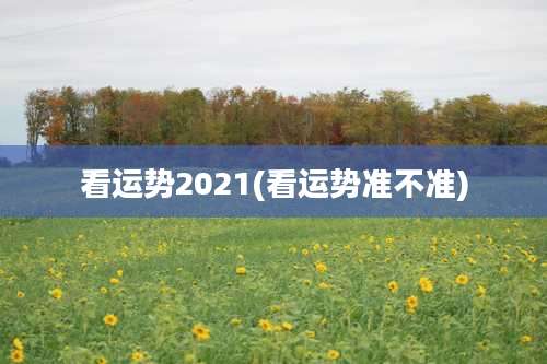 看运势2021(看运势准不准)