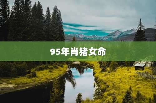 95年肖猪女命