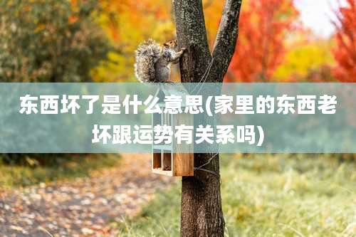 东西坏了是什么意思(家里的东西老坏跟运势有关系吗)