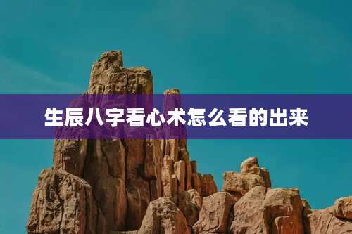 生辰八字看心术怎么看的出来