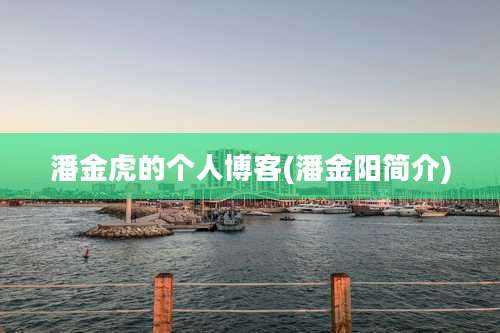 潘金虎的个人博客(潘金阳简介)