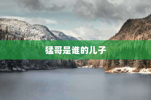 猛哥是谁的儿子