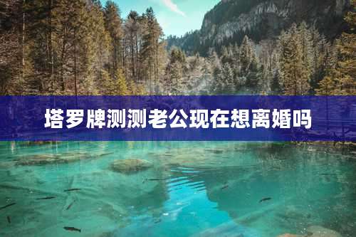 塔罗牌测测老公现在想离婚吗