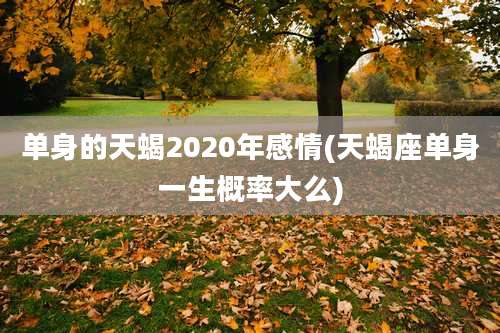 单身的天蝎2020年感情(天蝎座单身一生概率大么)