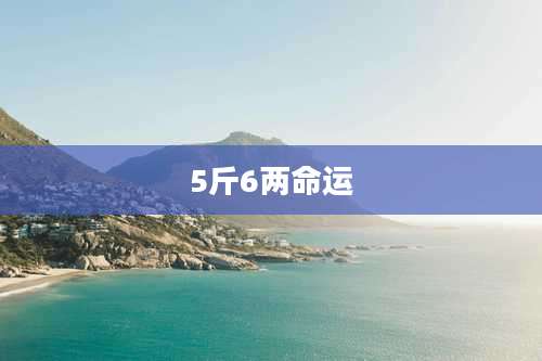 5斤6两命运