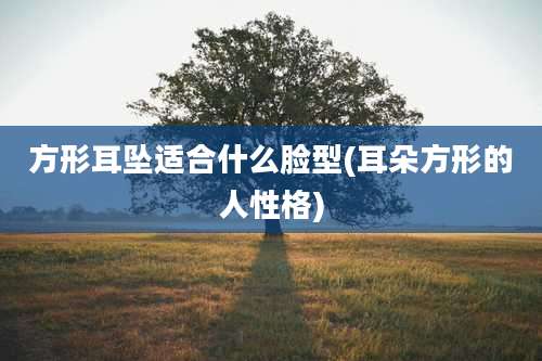 方形耳坠适合什么脸型(耳朵方形的人性格)