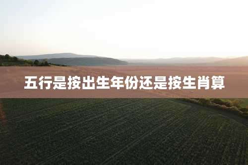 五行是按出生年份还是按生肖算