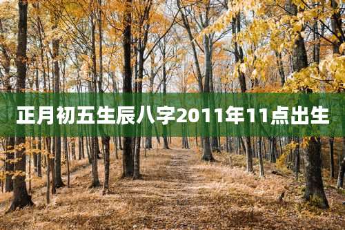 正月初五生辰八字2011年11点出生