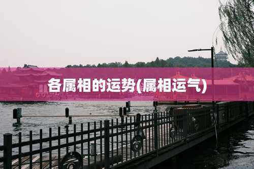 各属相的运势(属相运气)