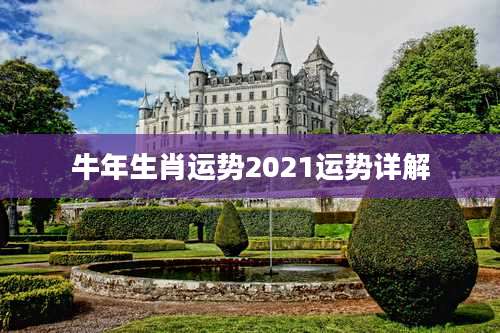 牛年生肖运势2021运势详解