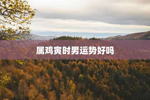 属鸡寅时男运势好吗