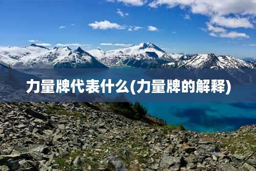 力量牌代表什么(力量牌的解释)