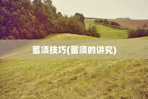 蓄须技巧(蓄须的讲究)