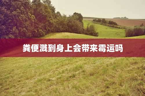 粪便溅到身上会带来霉运吗