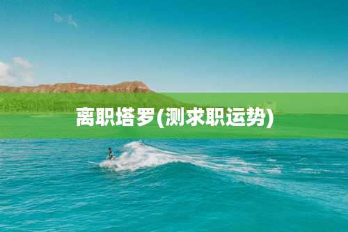 离职塔罗(测求职运势)