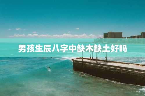男孩生辰八字中缺木缺土好吗