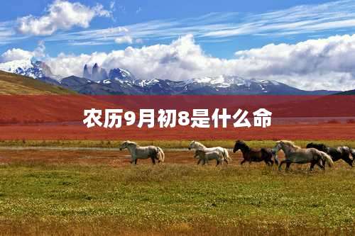 农历9月初8是什么命