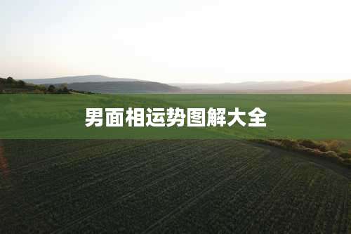 男面相运势图解大全