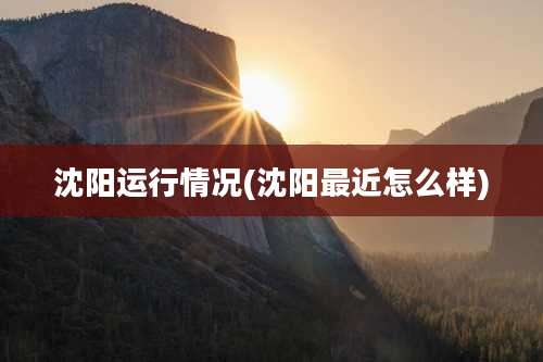 沈阳运行情况(沈阳最近怎么样)