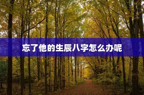 忘了他的生辰八字怎么办呢