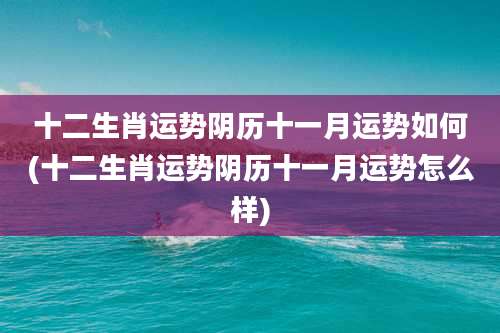 十二生肖运势阴历十一月运势如何(十二生肖运势阴历十一月运势怎么样)
