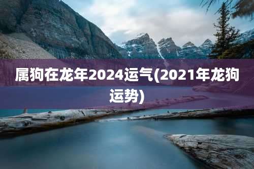 属狗在龙年2024运气(2021年龙狗运势)
