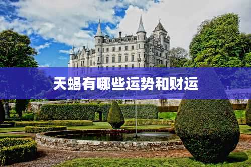 天蝎有哪些运势和财运