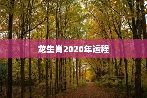 龙生肖2020年运程