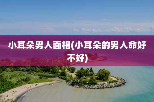 小耳朵男人面相(小耳朵的男人命好不好)