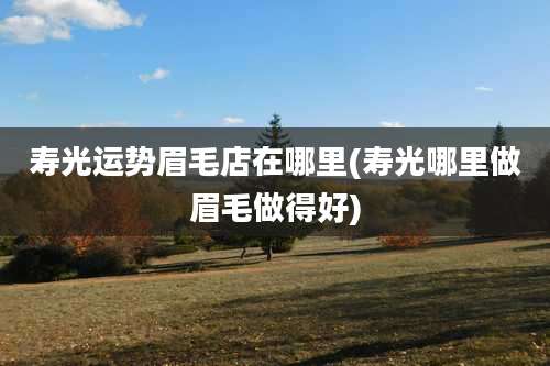 寿光运势眉毛店在哪里(寿光哪里做眉毛做得好)