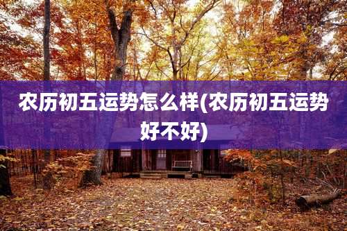 农历初五运势怎么样(农历初五运势好不好)