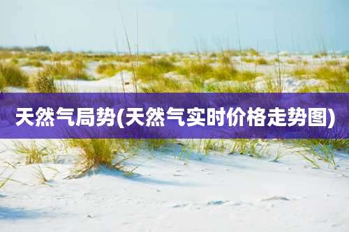 天然气局势(天然气实时价格走势图)