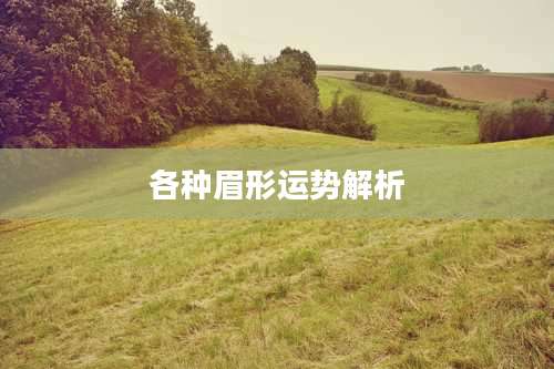 各种眉形运势解析