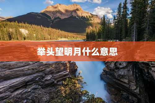 举头望明月什么意思