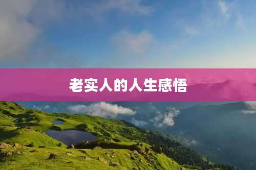 老实人的人生感悟